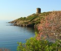 Seasons of the National Park of AsinaraLe stagioni del Parco