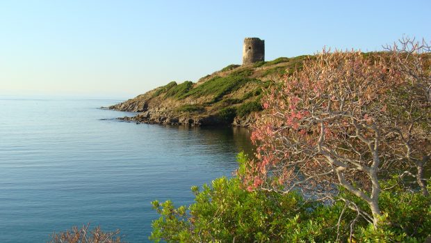 Seasons of the National Park of AsinaraLe stagioni del Parco